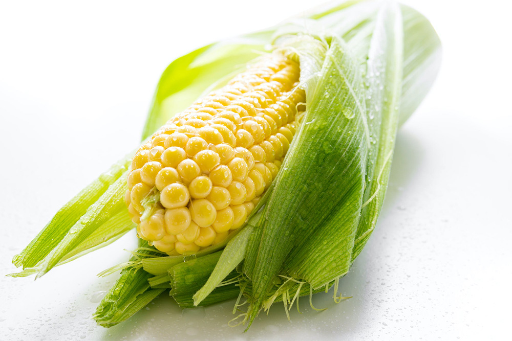 An Ear of Corn